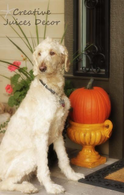 Simple and Easy Ideas on How to Decorate Your Pumpkins Simple and Easy Ideas on How to Decorate Your Pumpkins