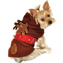 Special: Festive Outfit Ideas For the Whole Family! dogCostume womens fashion mens fashion