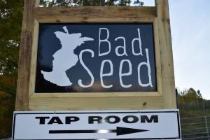 Bad Seed Hard Cider – Craft Hard Cider Production in the Hudson Valley DSC_0054