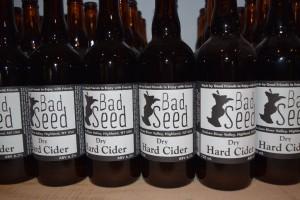 Bad Seed Hard Cider – Craft Hard Cider Production in the Hudson Valley DSC_0040