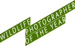 (C) Wildlife Photographer of the Year Award