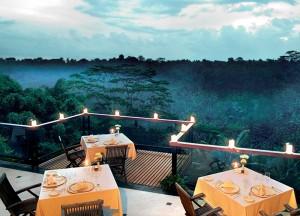 Ubud’s Best Resorts and Spas (Bali) Kupu Barong Views, Top 10 Ubud Resorts, Spas. Bali Hotels