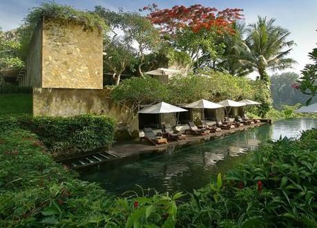 Ubud’s Best Resorts and Spas (Bali) Maya Infinity Pool, Top 10 Ubud Resorts, Spas. Bali Hotels
