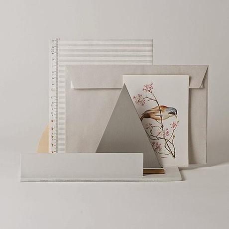 shop | golden biscotti shop | golden biscotti