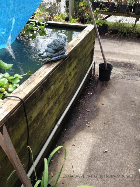 This simple water garden was constructed by layering 4 x 4 posts , installing a pond liner, securing it to the top post, and covering the rim with 1 x 4 trim.