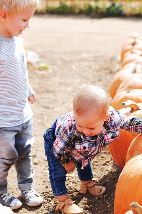 A Trip To The Pumpkin Patch With My Boys