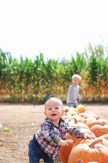 A Trip To The Pumpkin Patch With My Boys