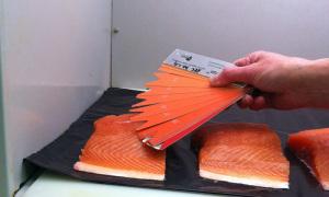 A peek behind the scenes at Scottish Farmed Salmon marine harvest scottish salmon