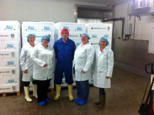 A peek behind the scenes at Scottish Farmed Salmon marine harvest scottish salmon
