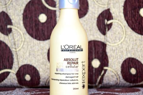 Loreal Professionnel Absolut Repair Cellular Shampoo Review Loreal Professionnel Absolut Repair Cellular Shampoo