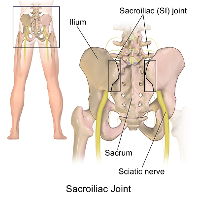 Sacroiliac_Joint-small