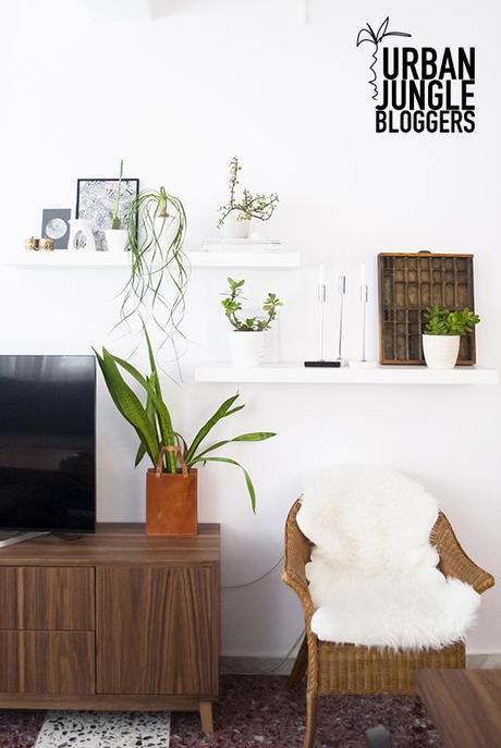 Urban Jungle Bloggers | My Plant Shelfie My plant shelfie | My Paradissi #urbanjunglebloggers