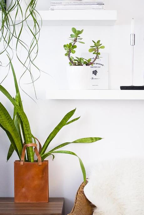 Urban Jungle Bloggers | My Plant Shelfie My plant shelfie | My Paradissi #urbanjunglebloggers