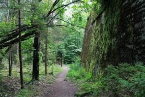 Hochwald Hochwald