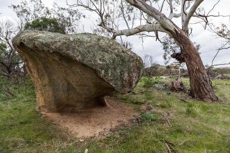 mushroom shaped rock mount kooyoora
