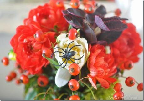 DSC_0712 DSC_0712