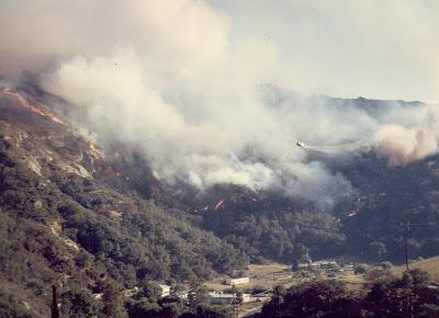 21 year Anniversary of my home being destroyed in 1993 Laguna Beach Firestorm,