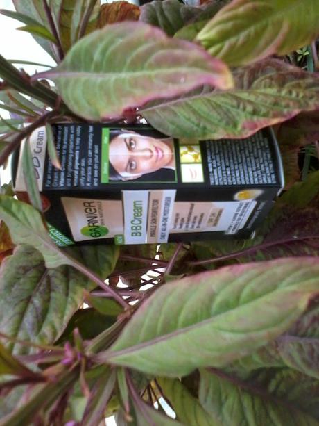 Product Review: Garnier BB Cream: Committed to Provide Every Women A Perfect Total Beauty Benefit Product Review: Garnier BB Cream: Committed to Provide Every Women A Perfect Total Beauty Benefit
