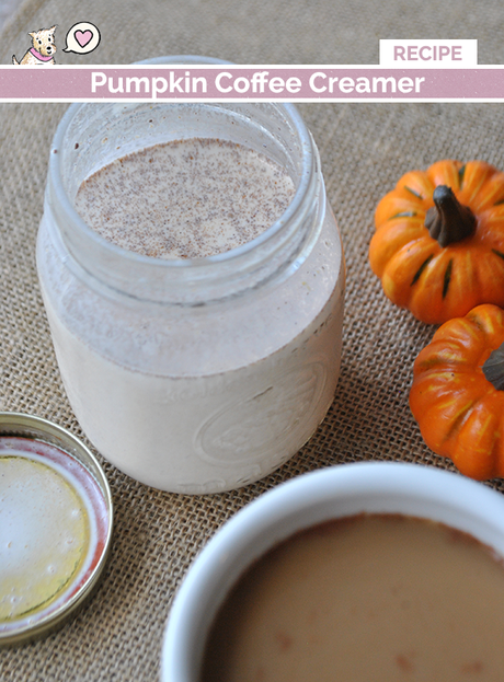 homemade pumpkin coffee creamer recipe