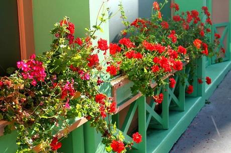 Reflections, Le Havre Reflections, Le Havre