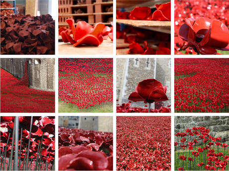 Poppies at The Tower of London – ends 11th November