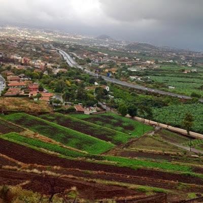 From Tenerife in the Canary Islands From Tenerife in the Canary Islands