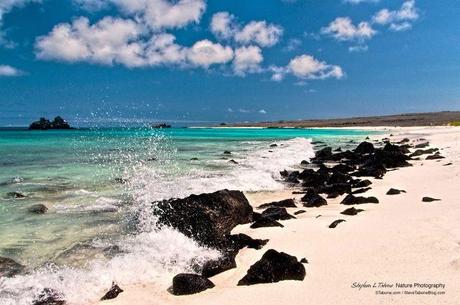Espanola-Island-Wave-on-Volcanic-Rocks-Galapagos-wL