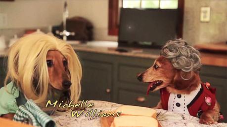 Two Dachunds dressed in Wigs