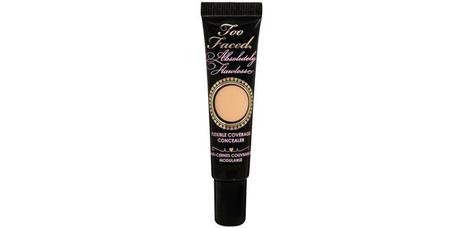 Too Faced Absolutely Flawless Concealer Too Faced Absolutely Flawless Concealer