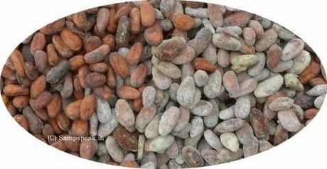 Cocoa bean - Ghana .... price of chocolates likely to go up !!!