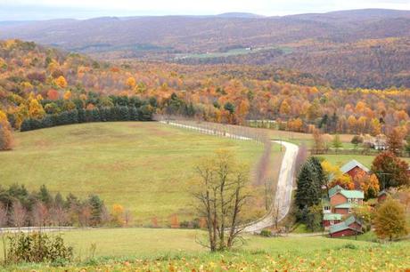 Kentuck Knob Vista