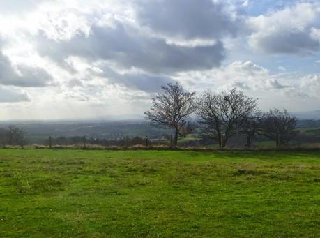 A Walk in the Sunshine A Walk in the Sunshine