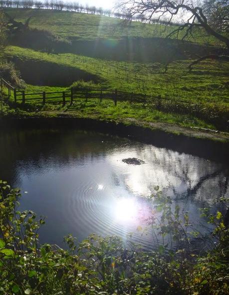 A Walk in the Sunshine A Walk in the Sunshine