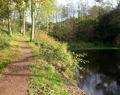 A Walk in the Sunshine A Walk in the Sunshine