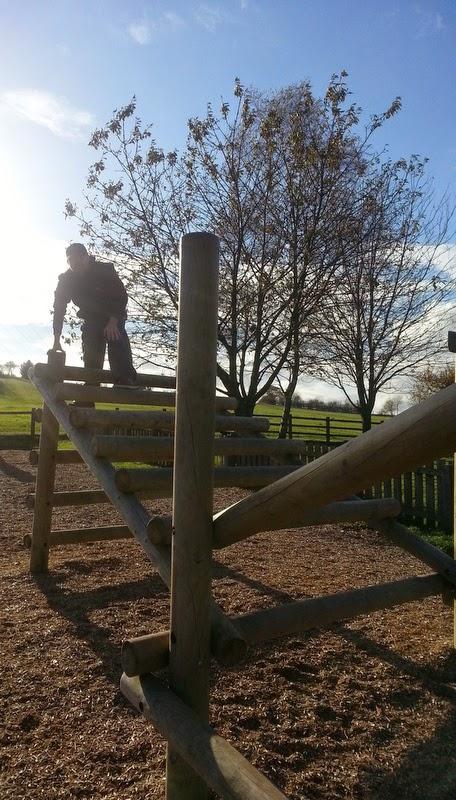 A Walk in the Sunshine A Walk in the Sunshine