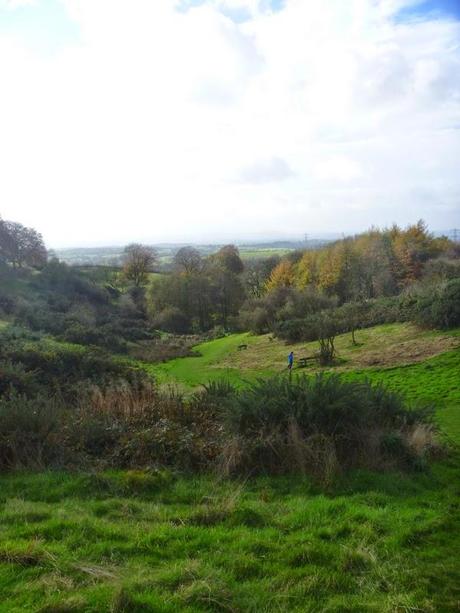 A Walk in the Sunshine A Walk in the Sunshine