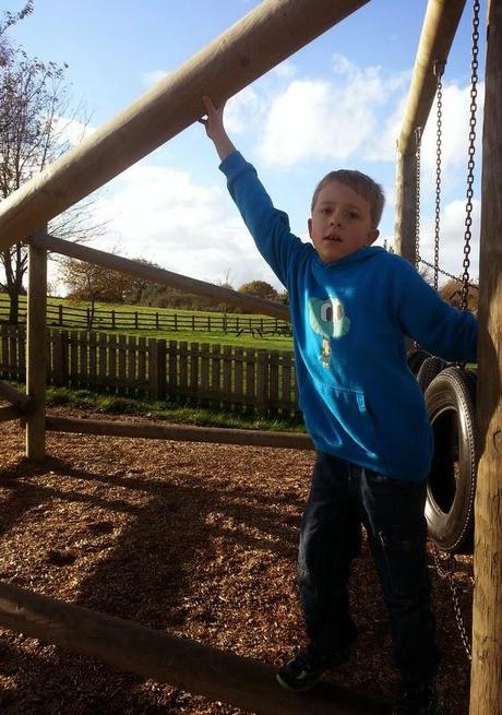 A Walk in the Sunshine A Walk in the Sunshine