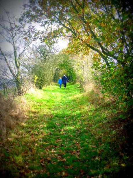 A Walk in the Sunshine A Walk in the Sunshine