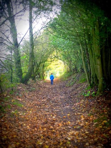 A Walk in the Sunshine A Walk in the Sunshine