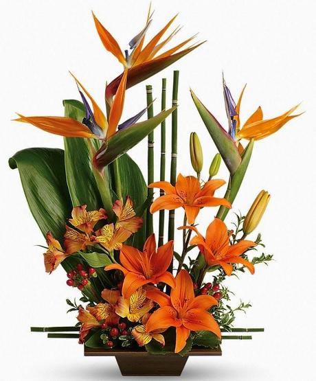 Give Thanks with Teleflora this Thanksgiving