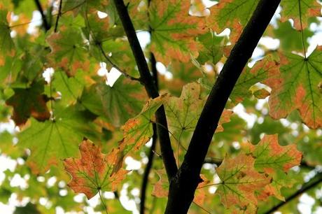 At the Weekend At the Weekend