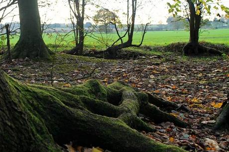 At the Weekend At the Weekend