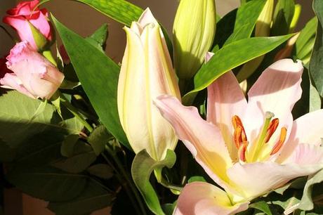 At the Weekend At the Weekend