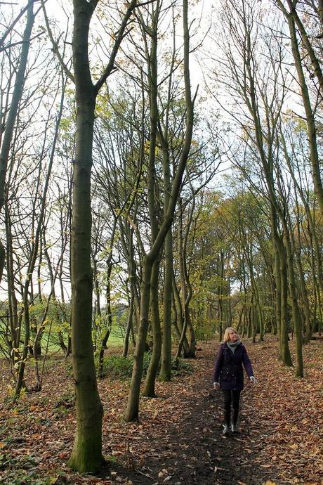 At the Weekend At the Weekend