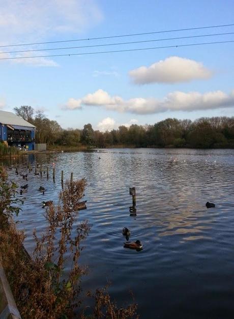 Sunny Sunday Afternoon Sunny Sunday Afternoon