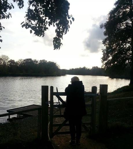 Sunny Sunday Afternoon Sunny Sunday Afternoon