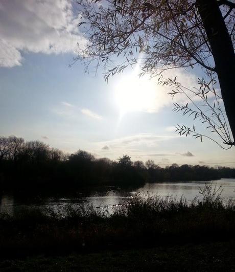 Sunny Sunday Afternoon Sunny Sunday Afternoon