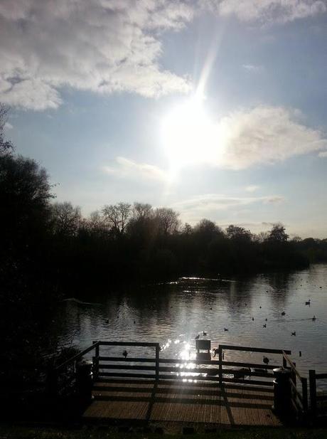 Sunny Sunday Afternoon Sunny Sunday Afternoon