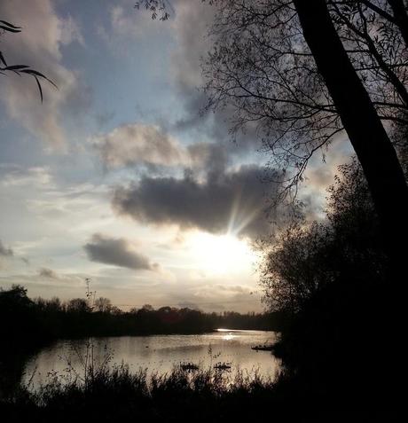 Sunny Sunday Afternoon Sunny Sunday Afternoon