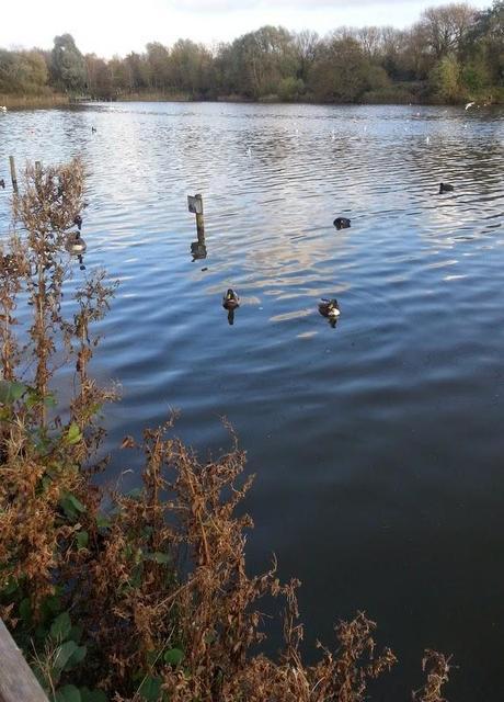 Sunny Sunday Afternoon Sunny Sunday Afternoon